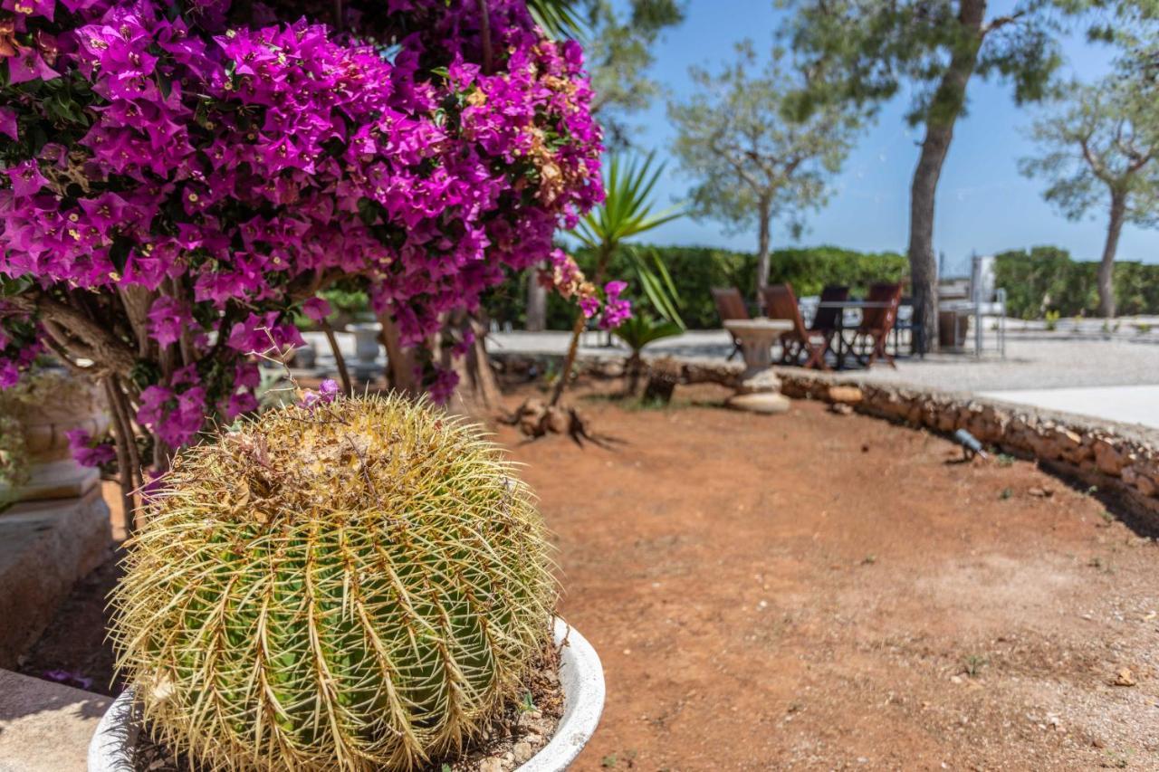 B&B Villa Massimo Porto Cesareo Ngoại thất bức ảnh